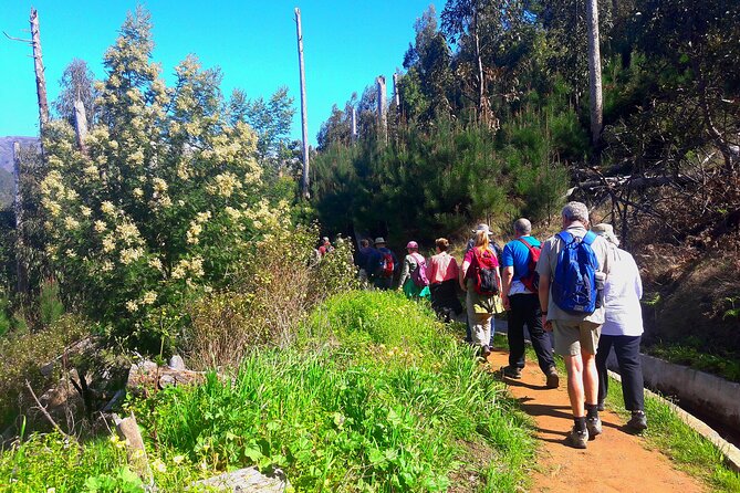 Serra DÁgua Valley - Levada Walk - Logistics and Scheduling