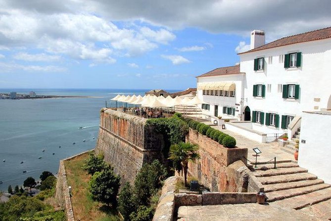 Setubal and Azeitao Private Tour: Wine, Food, and Dolphins  - Lisbon - Wine Tasting Experience at Historic Winery