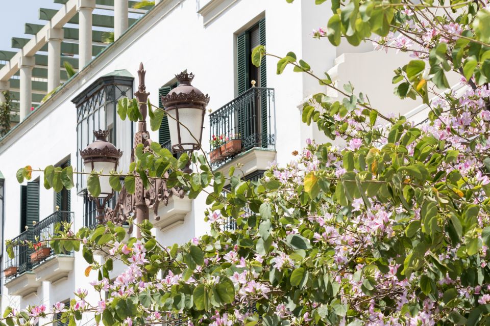 Seville: Guided Walking Tour of the Santa Cruz District - Important Information