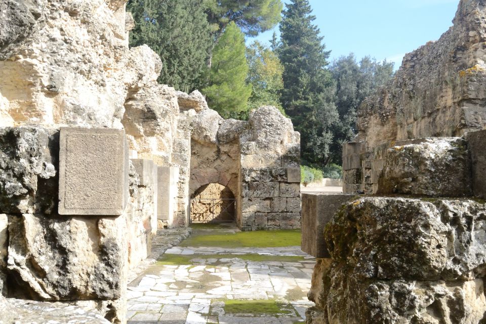 Seville: Roman City of Itálica 2.5-Hour Tour - Tour Description