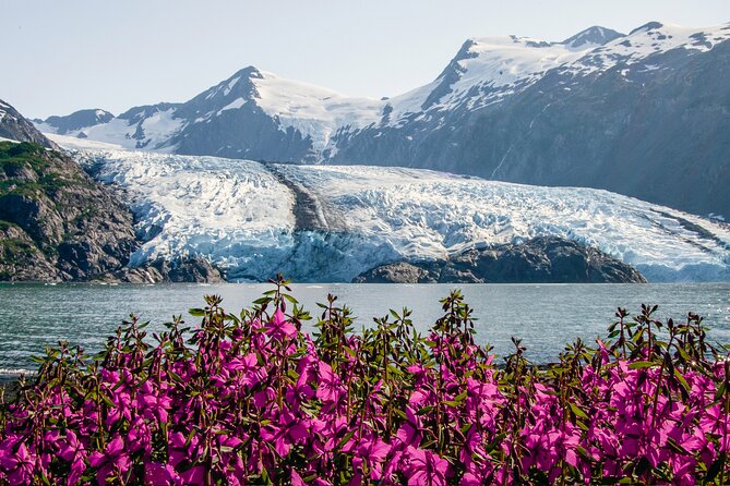 Seward to Anchorage- Post Cruise Curated Wildlife Tour Transfer - Tour Inclusions and Exclusions