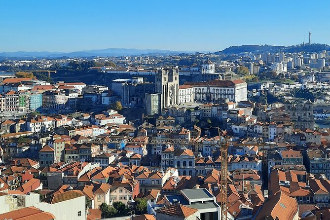Shared Porto City Historical Centre Walking Tour - Reviews