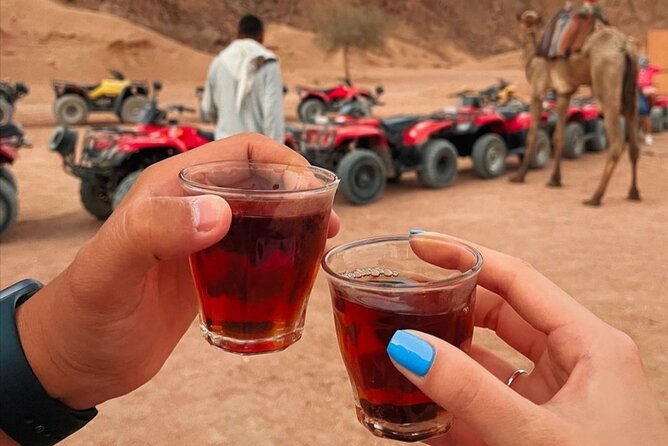 Sharm: Quad Bike or Car Buggy, Camel Ride & Optional VIP Bedouin Dinner & Show - Insights From Customer Feedback