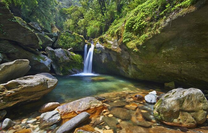 Shivapuri National Park Day Hiking - Budanilkantha, Nagi Gumba, Sundarijal Hike - Authenticity Check on Reviews