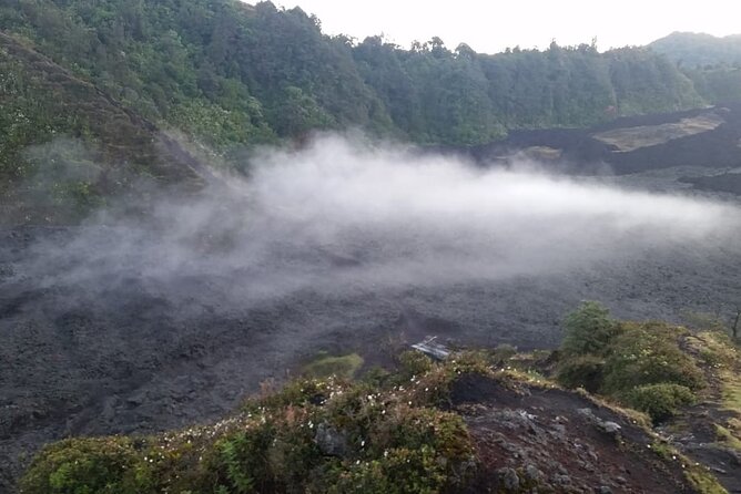 Shuttle Pacaya Volcano From Antigua - Traveler Reviews and Ratings