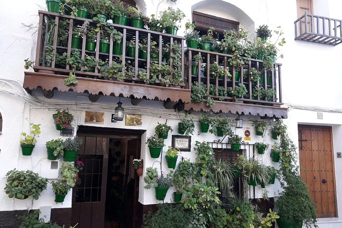 Sierra De Aracena 1 Day Excursion - Lunch and Refreshment Breaks