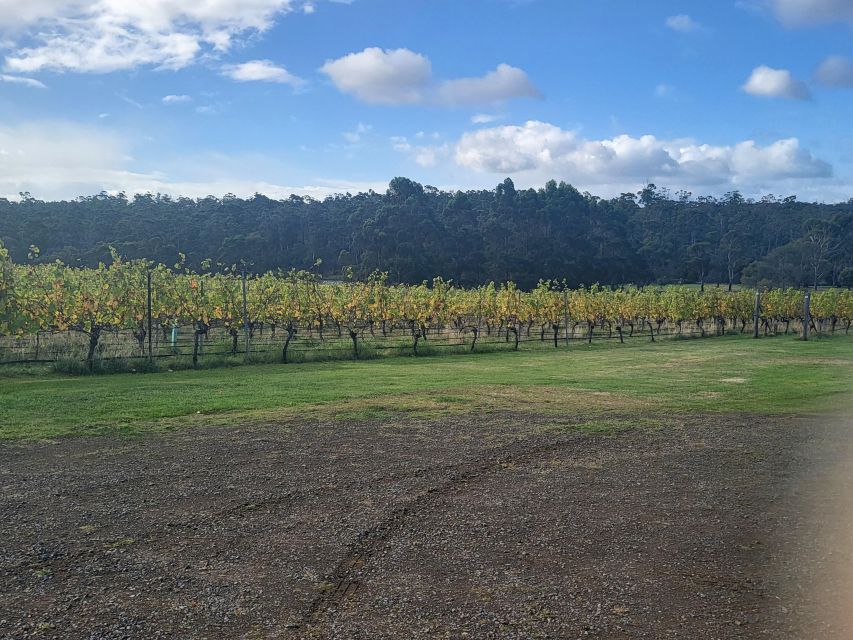 Signature Wine Tour - Hobart and SE Tasmania - Inclusions