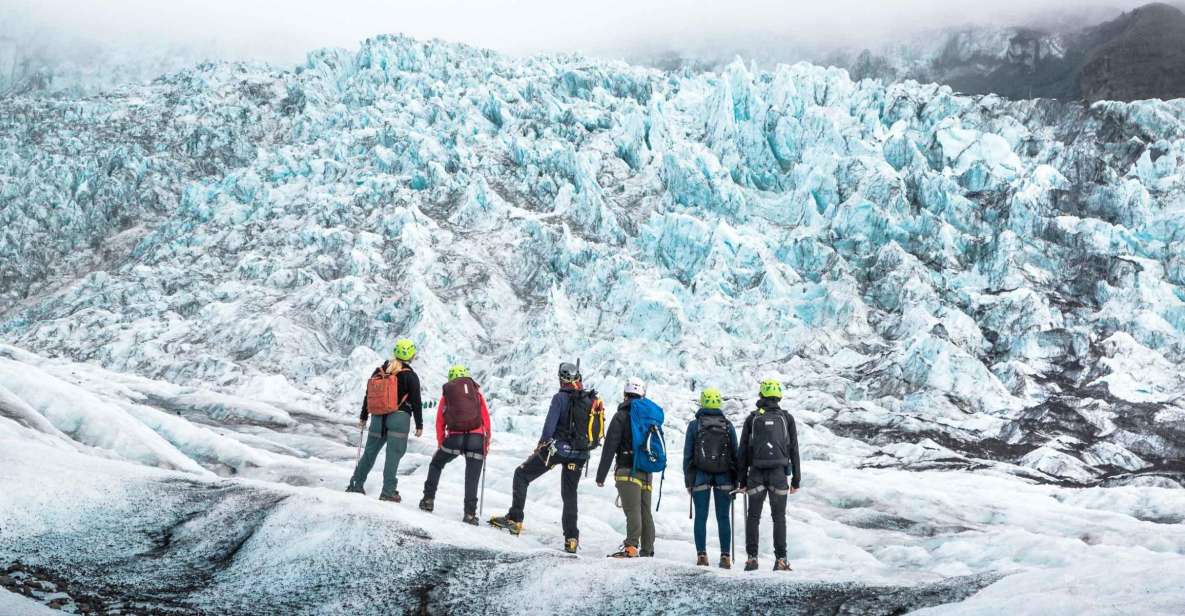 Skaftafell: Guided Glacier Hike on Falljökull - Full Description