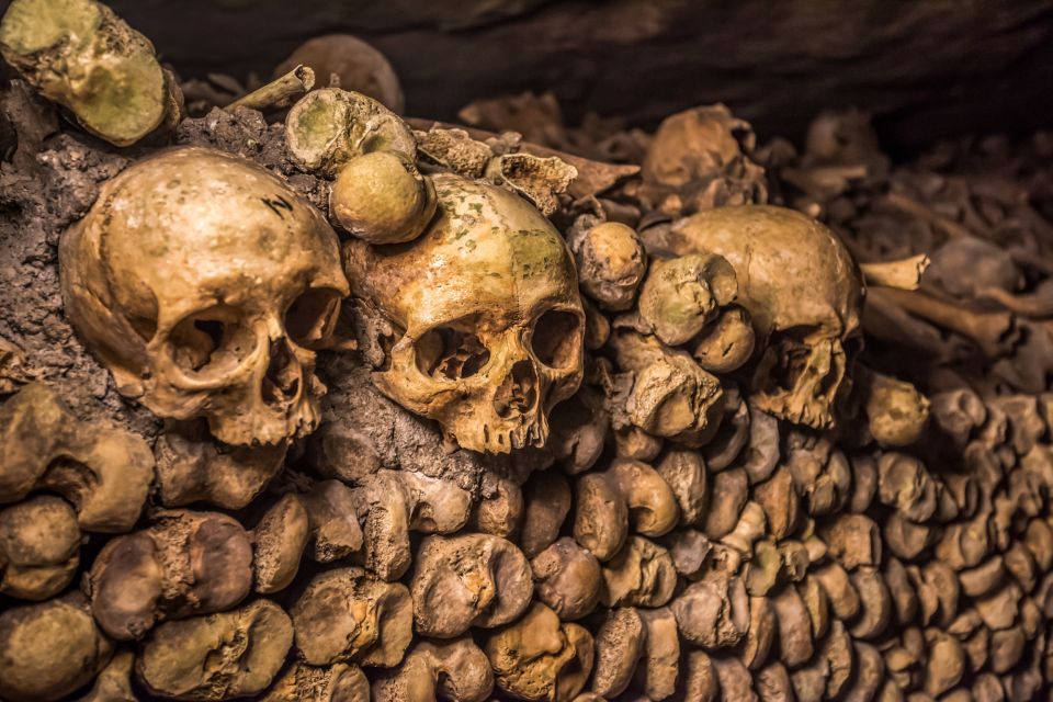 Skip-The-Line: Paris Catacombs Guided Tour With VIP Access - Experience Highlights and Inclusions