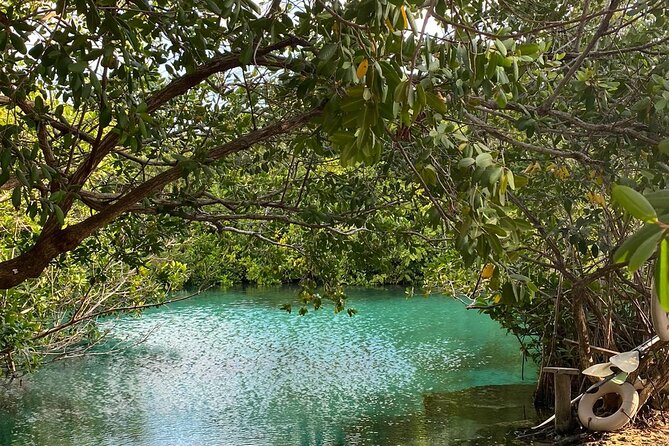 Small-Group 3 Cenotes Adventure Tour - Common questions