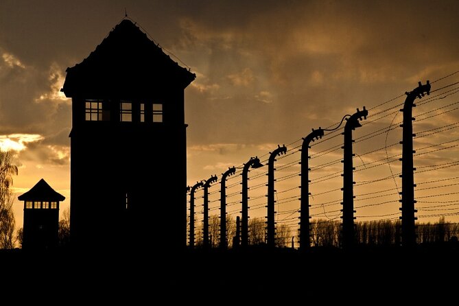 Small Group Auschwitz-Birkenau Guided Tour From Krakow ABTA - Customer Reviews and Guide Performance