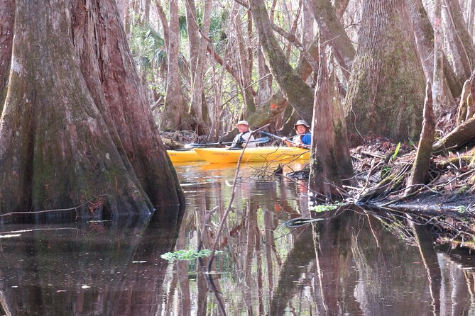 Small Group Blackwater Creek Scenic River Kayak Tour With Lunch - Packing List