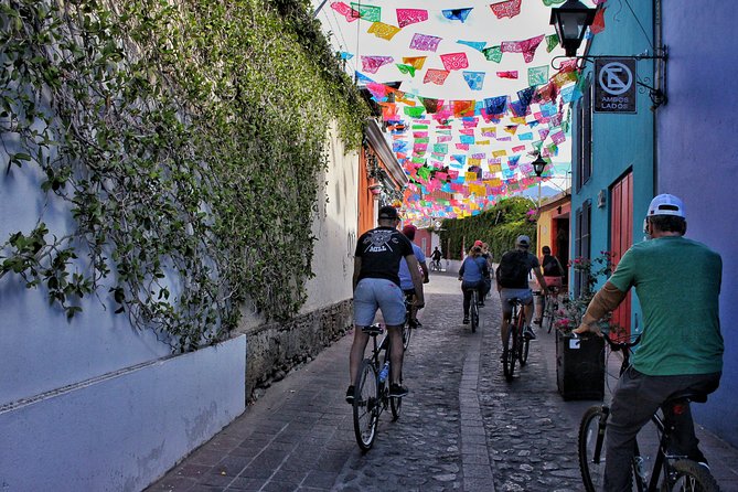 Small-Group Half-Day Bicycle Tour to Street Art Spots, Oaxaca  - Oaxaca City - Company Background