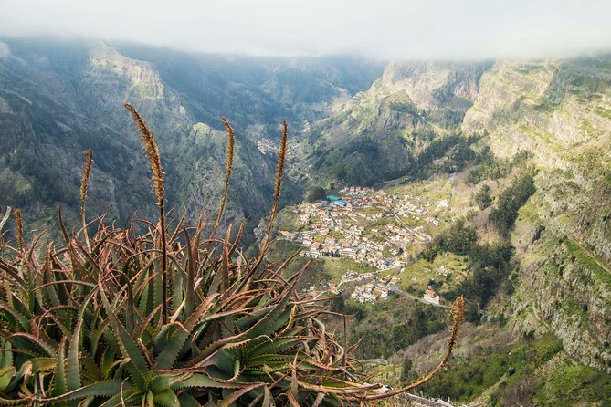 Small Group Madeira Half Day Tour From Funchal - Review Insights