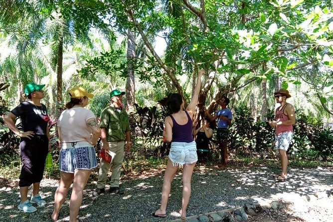 Small-Group Mangrove Hike  - Quepos - Inclusions