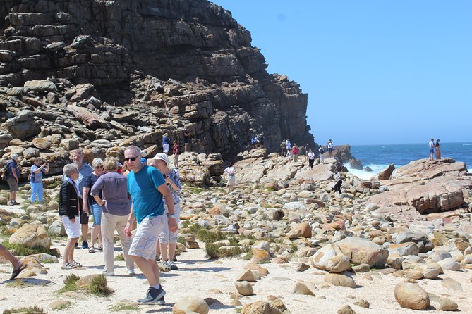 Small Group Private Tour To Cape Point Penguins From Cape Town Excl Entry Fees - Expert Tour Guide