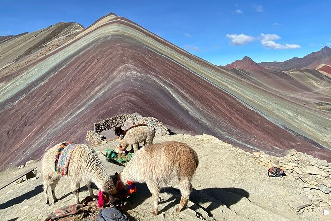 Small Group Tour in Rainbow Mountain From Cusco - Last Words