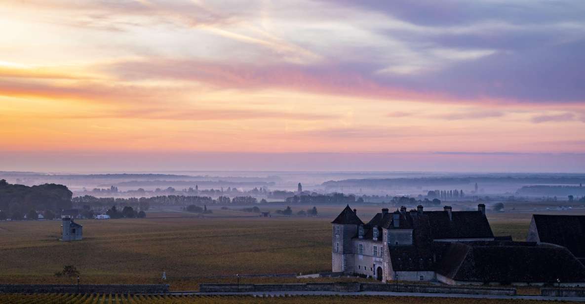 Small Group Tour Morning in Côte De Beaune - Guide Expertise and Vineyard Exploration