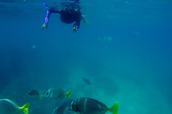 Snorkel and Hidden Beach Day Trip With Marine Biologist  - Cabo San Lucas - Cancellation Policy