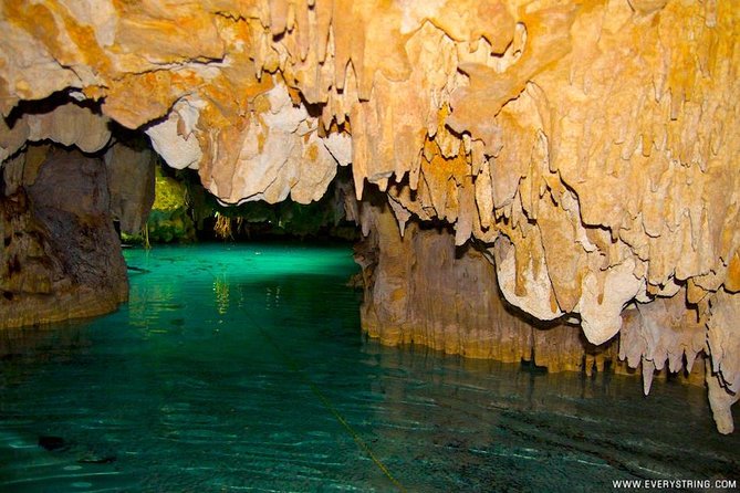 Snorkeling With Caribbean Fish and Private Cenote Exploration - Customer Reviews Insights
