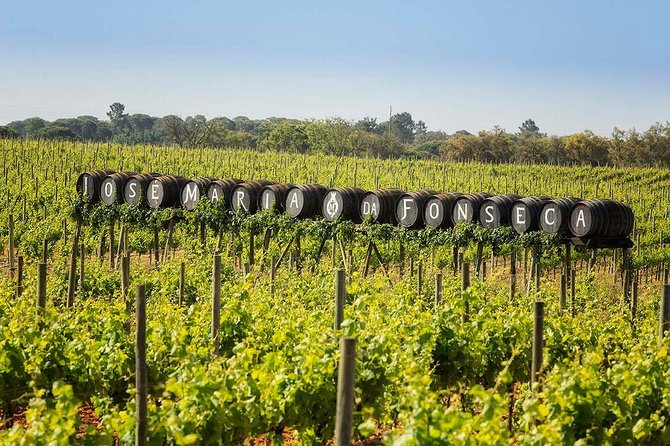 South Portugal Wine Route Private Full Day Tour From Lisbon - Local Gastronomy Delights