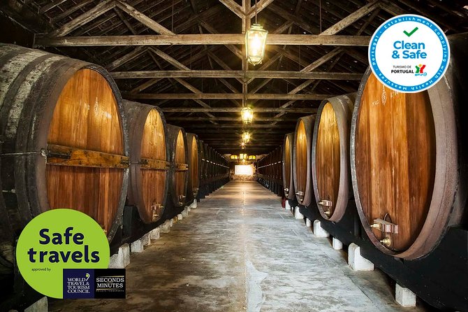 South Portugal Wine Route Private Full Day Tour From Lisbon - Wine Tasting Experience