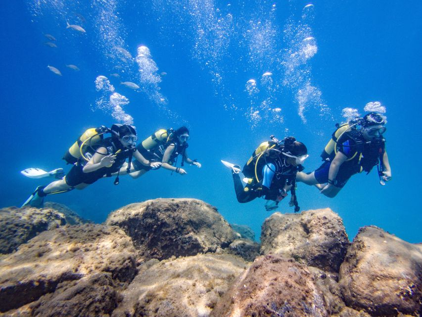 South Tenerife: Beginners Scuba Diving Experience - Inclusions