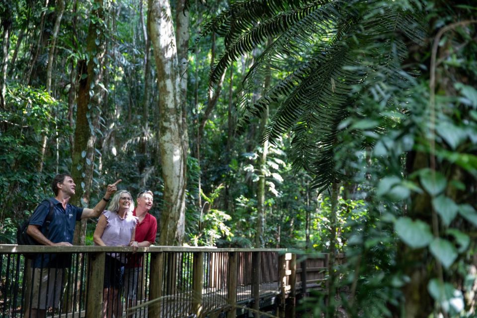 Southern Daintree Explorer Tour - Half Day - Description