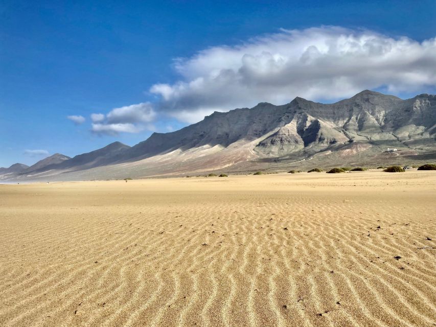 Southern Fuerteventura: Cofete Beach and Desert Safari - Review Summary