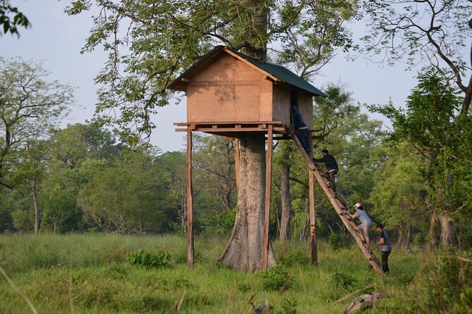 Spend a Night in a Tree House in Bardiya - Nighttime Activities