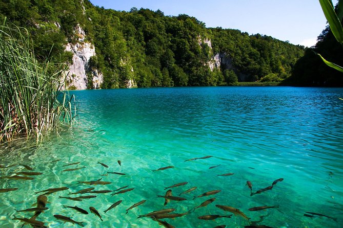 Split to Plitvice National Park Private Transfer - Cancellation Policy