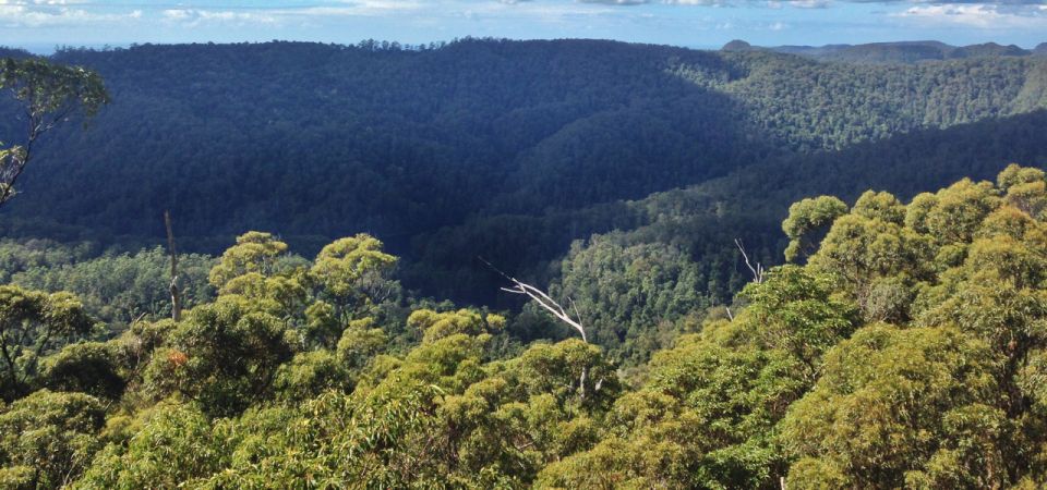 Spring Brook National Park Self Guided Driving Tour - Tour Inclusions