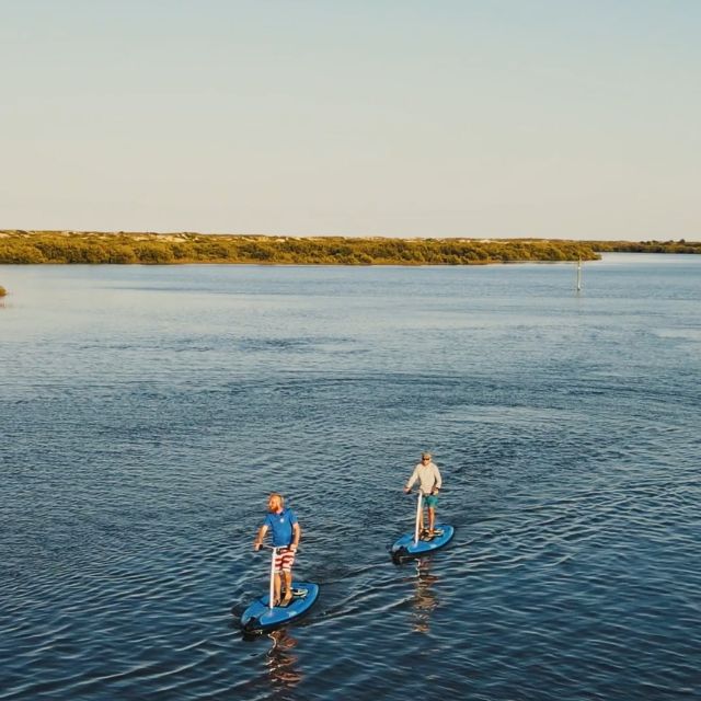 St. Augustine: Standup Pedal-boarding Dolphin Tour - Full Description of the Experience