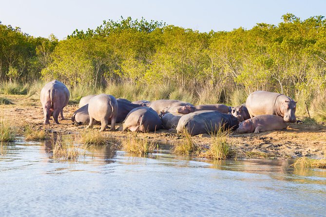 St Lucia Estuary Boat Cruise - Common questions