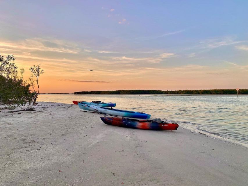 St. Petersburg, FL: Weedon Island Kayak Tour - Customer Reviews and Location Details