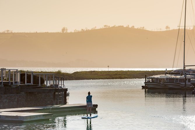 Stand up Paddle Board Hire Knysna 2 Hour - What to Expect During the Activity