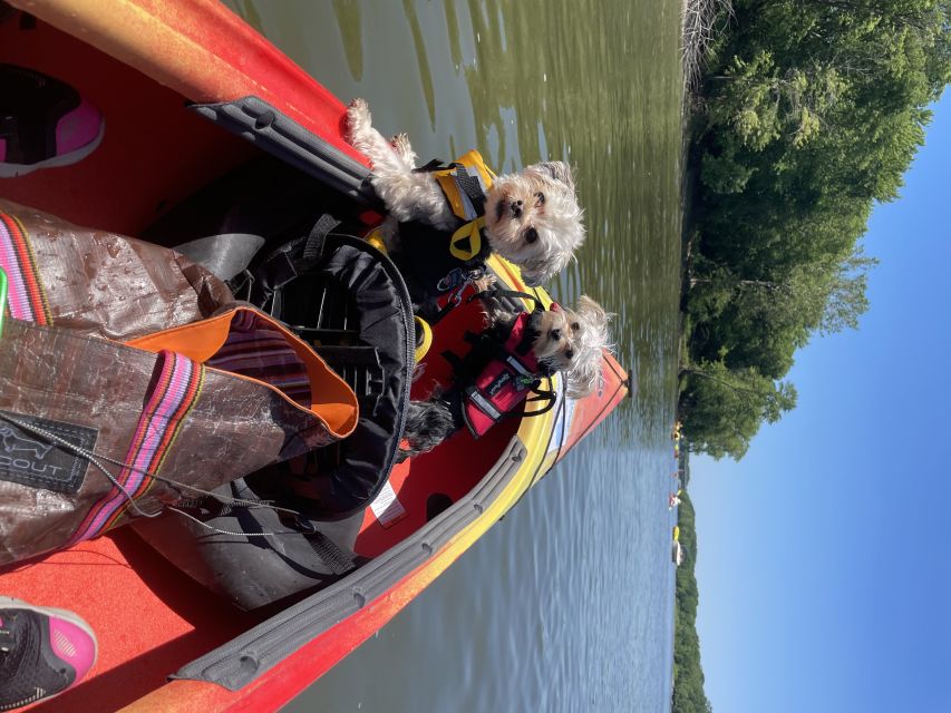 Starved Rock State Park: Guided Kayaking Tour - Highlights of the Kayak Tour