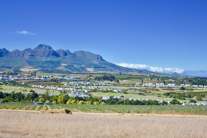 Stellenbosch & Franschhoek Cape Winelands Wine Tasting (Day Tour) - Scenic Landscapes