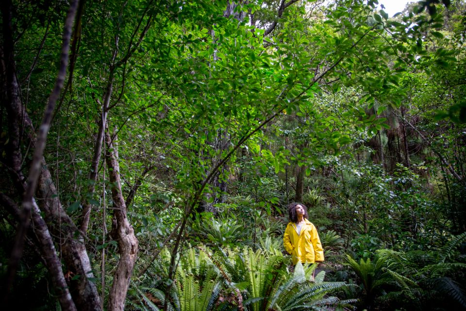 Stewart Island: Ulva Island Guided Wilderness Walk & Cruise - Full Description