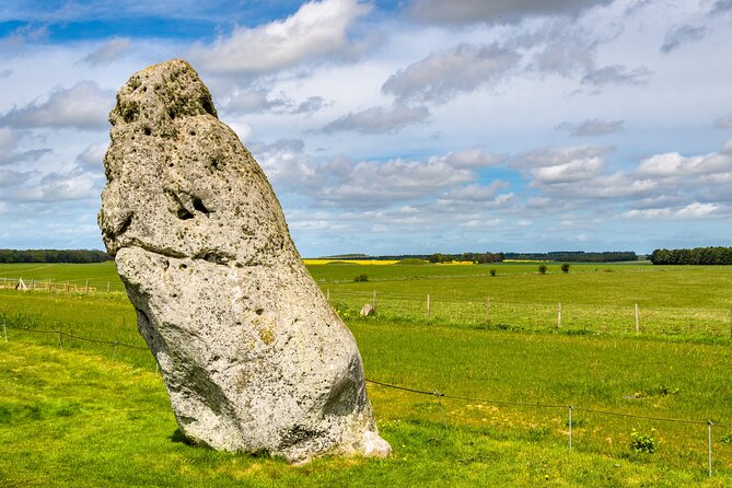 Stonehenge Private Tour From London by Car - Cancellation Policy