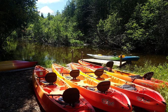 Sturgeon Bay Wetlands Kayak Tour  - Green Bay & Door County - Experience Highlights