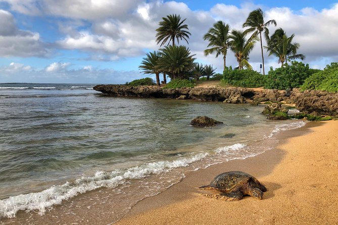 Sunrise Plus Island Tour - North Shore Exploration