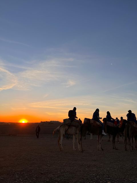 Sunset Camel Ride in Desert & Palm Grove With Tea & Transfer - Included Services and Amenities