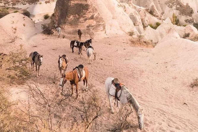 Sunset Horsebackriding Tour Through the Valleys of Cappadocia - Additional Insights