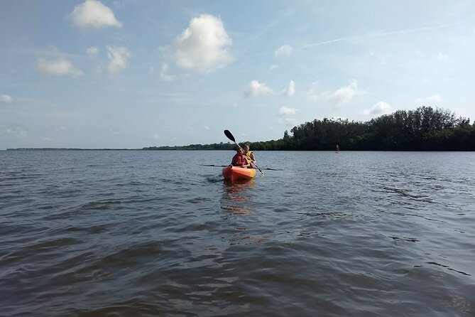 Sunset Kayaking Tour at Manatee Cove With Manatee & Dolphin Sightings - Expectations and Accessibility