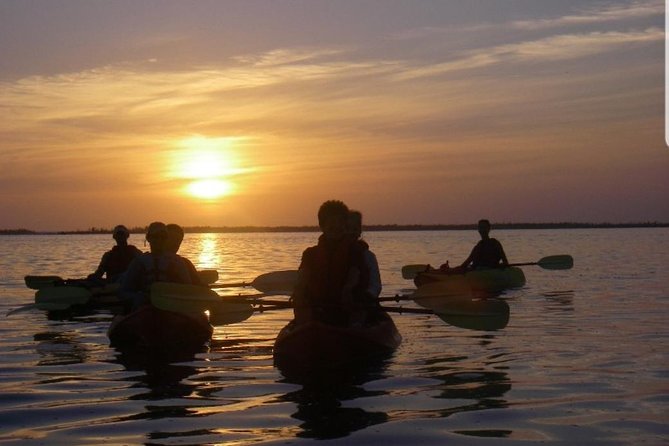 Sunset Kayaking W/ Florida Bioluminescence Combo Tour Haulover Canal - Common questions