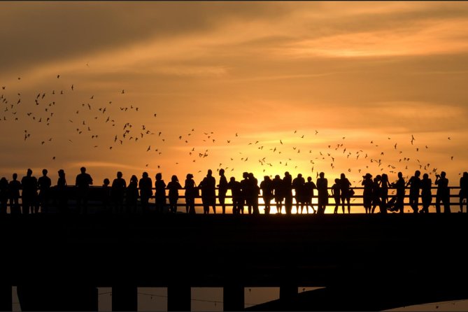 Sunset Skyline Kayak Tour - Logistics Information