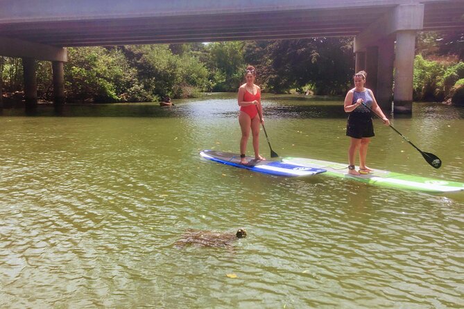 Sunset Stand up Paddle With Photos and Turtles - Important Notes