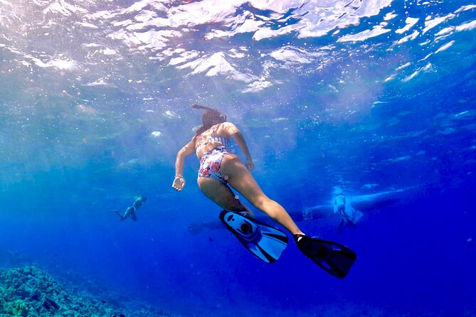 Super Raft - Private Charter Maui 3 Hour Snorkel to Coral Gardens or Molokini - Common questions