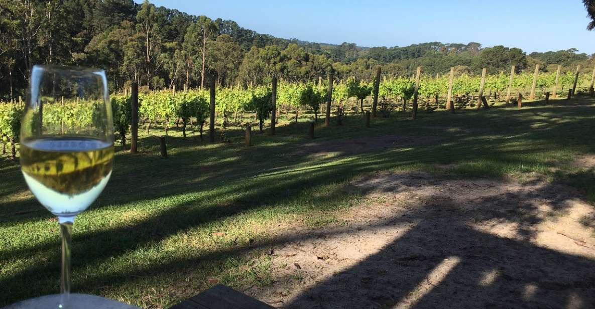 Swan Valley Wine Discovery: Private Tour From Perth - Tour Description